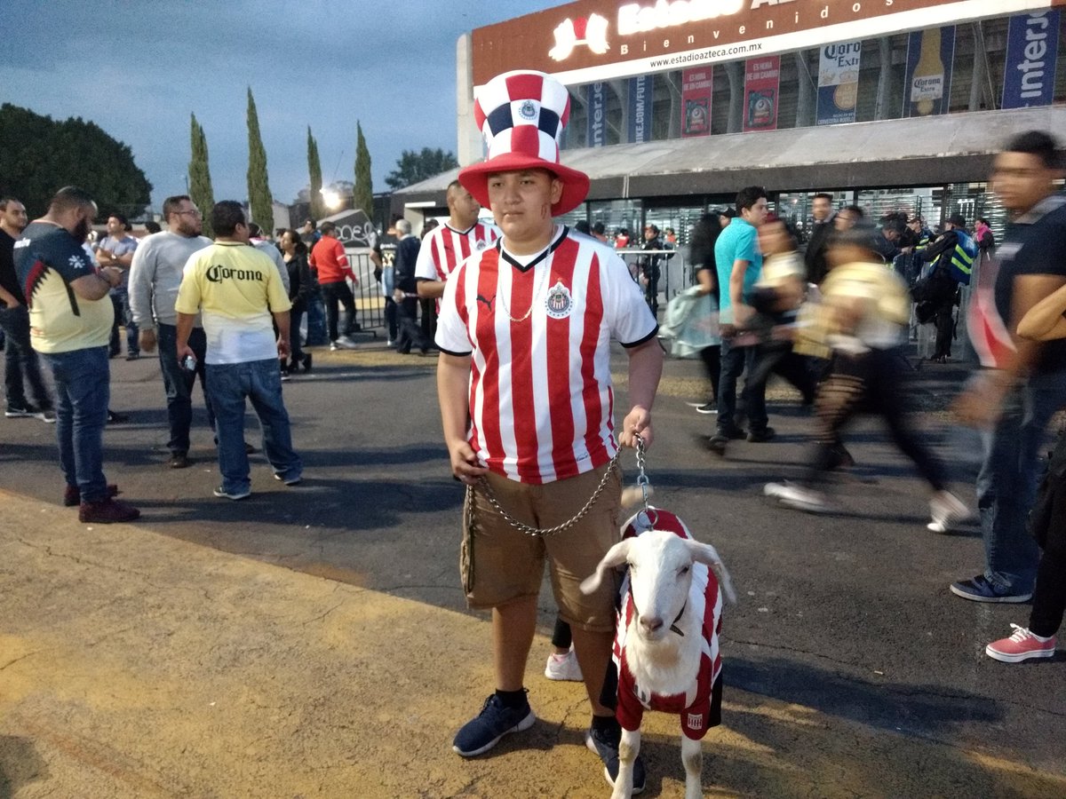 BullyngTime's tweet photo. SE VENDE CHIVAA! PARA BIRRIAA! #VamosAmérica #VamosAmerica #EsteClasicoEs El adiós de #Chivas @RedesESPN @EDSONZUNIGA @SanCadilla @laaficion https://t.co/9qKbGOiVHg