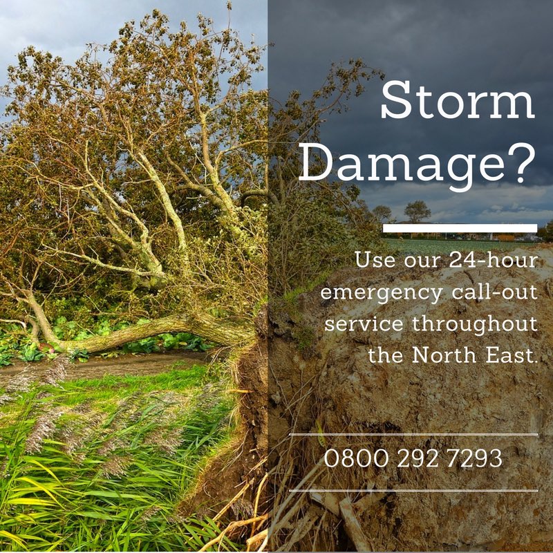 DeluxeTree's tweet image. Get in touch to deal with any storm damage. #durham #northeast #sunderland