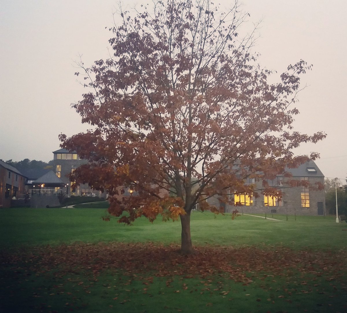 AzurEnArdenne's tweet photo. #Autumn @ #AzurEnArdenne  😊
#automne #herfst #ardennes #ardennen #durbuy #barvaux #tree https://t.co/4gnw7VXiOC