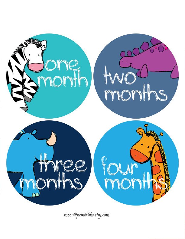 moonlitprints's tweet photo. Blue Monthly Baby Stickers, Infant Month Stickers, Zoo Milestone … https://t.co/ZgkMDPsN16 #Etsy #MonthlyBabySticker https://t.co/8epYlULjDY