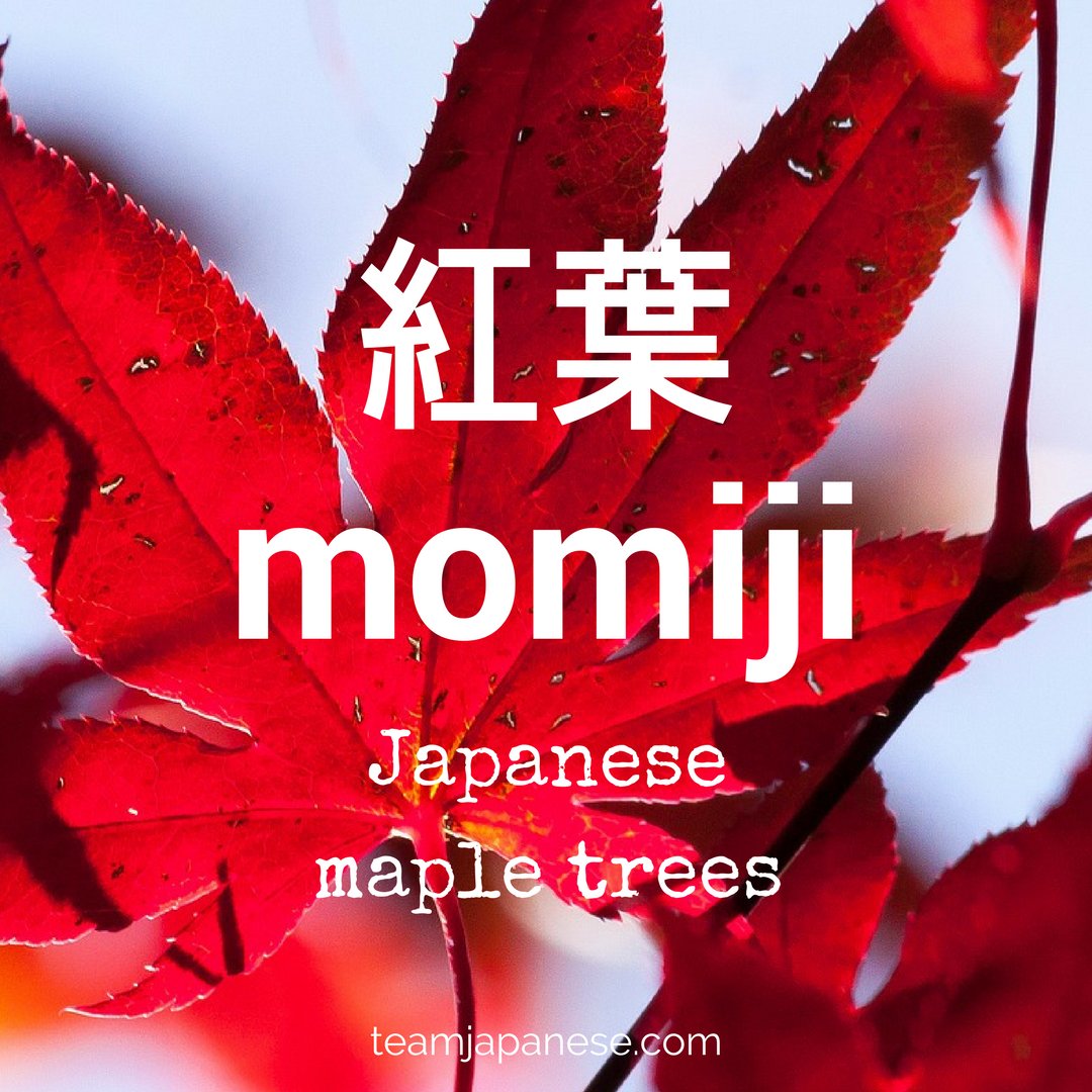 Team Japanese🇯🇵 on Twitter "Japanese words for autumn >> https//t.co