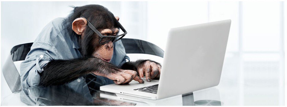 Fruugul's tweet photo. Our coding monkeys 🐒 have been hard at work and something big is coming to Fruugul.  #coding #app #discounts #vouchers https://t.co/AvgWPWjkbk