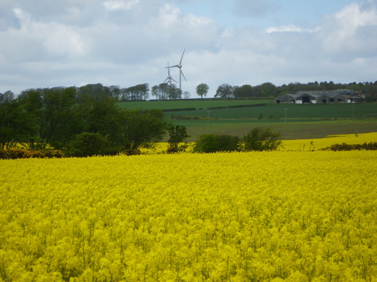 ScotNatCap's tweet photo. Macaulay Development Trust Fellowship in #NaturalCapital Accounting @JamesHuttonInst - Deadline 19 Nov:  https://t.co/IRiiY8EIIi #Research https://t.co/LTE6yu9IJw