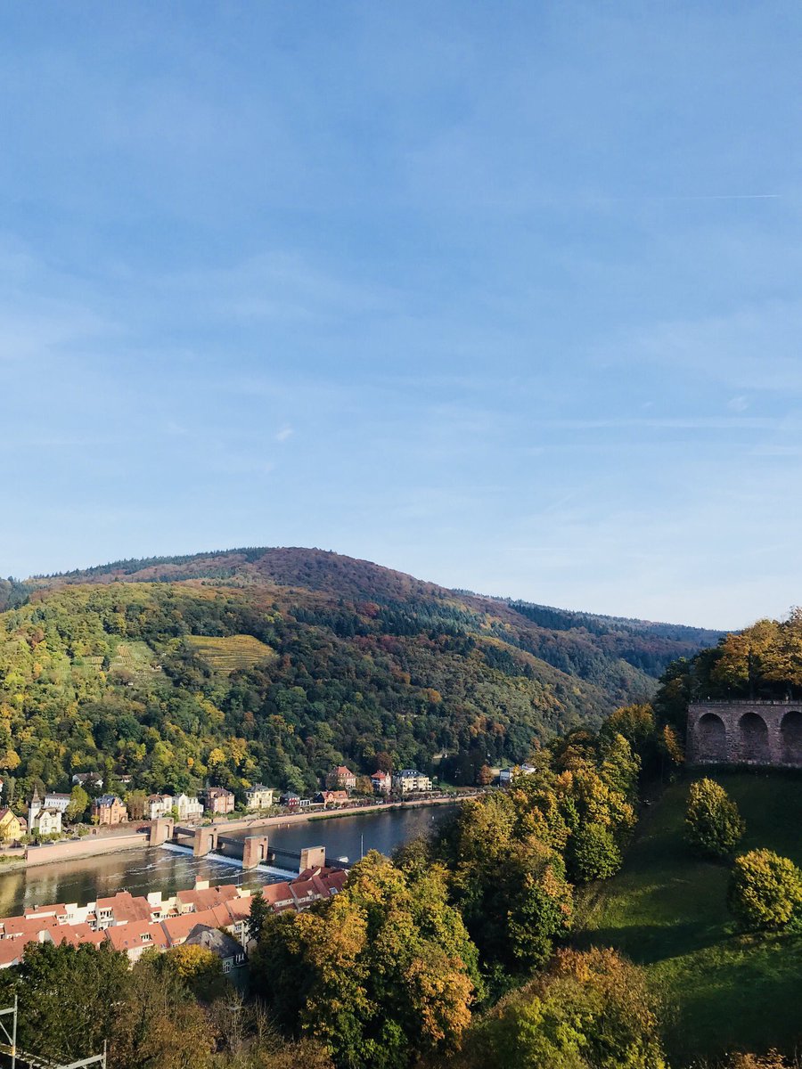 rainuwi's tweet photo. Traumhafte Pausenkulisse bei den #hwt17 @W_R_P @TorstenKutschke #Heidelberg #Schloss #Traeumchen https://t.co/omH3IxFJMe