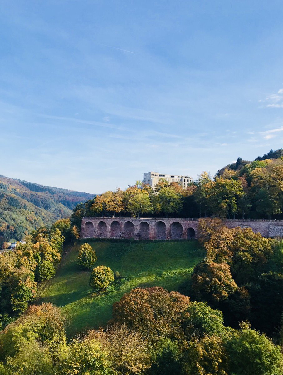 rainuwi's tweet photo. Traumhafte Pausenkulisse bei den #hwt17 @W_R_P @TorstenKutschke #Heidelberg #Schloss #Traeumchen https://t.co/omH3IxFJMe