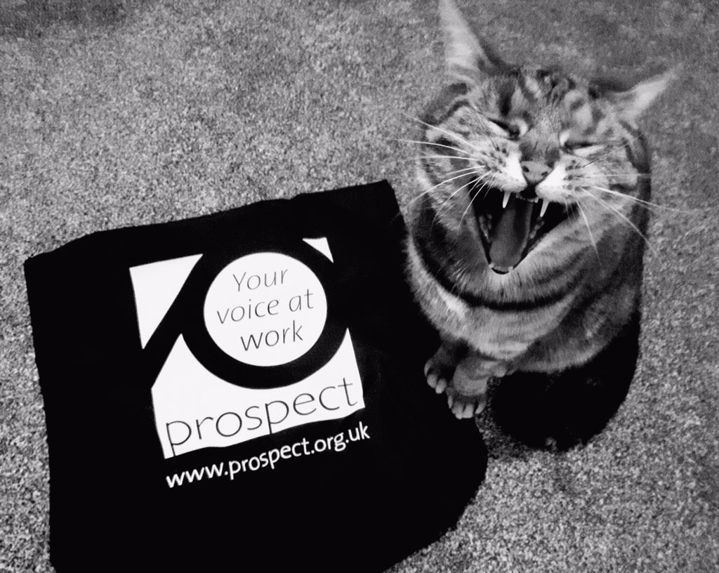 LegalProspect's tweet photo. @kmflett @ProspectUnion Wot....not a member, arrggh! Says Gnasher (who lives with Helen) #PetsOfProspect #talkProspect @prospectunion https://t.co/nU5oe93BL1