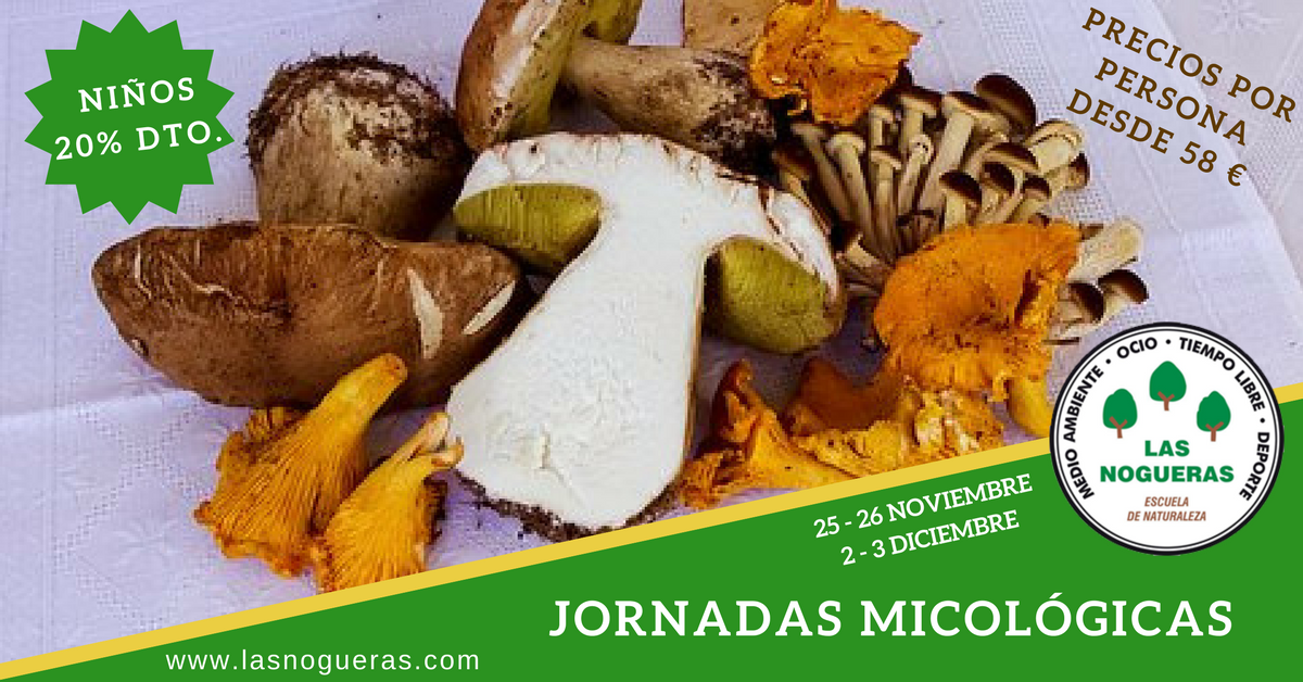 lasnoguerasjaen's tweet photo. ¿Te interesa hacer una escapada #micológica al parque natural de #Despeñaperros?🍄¡No te pierdas nuestras jornadas micológicas! ¡Reserva ya! https://t.co/Ks5HSaRJ7b