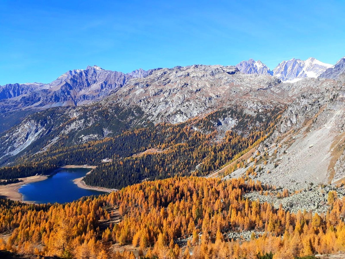 AgneBea71's tweet photo. Valmalenco ☆ #Autumn https://t.co/BfMCOHy6QA