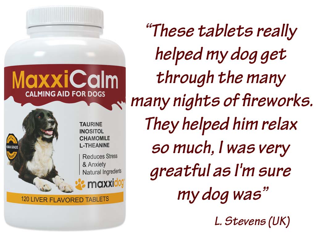 maxxipaws's tweet photo. Can help dogs cope better with stressful events like Bonfire Night
#bonfirenight #dogsandfireworks #dogsfear #anxiousdog #dogs https://t.co/5vyDGJBvCK