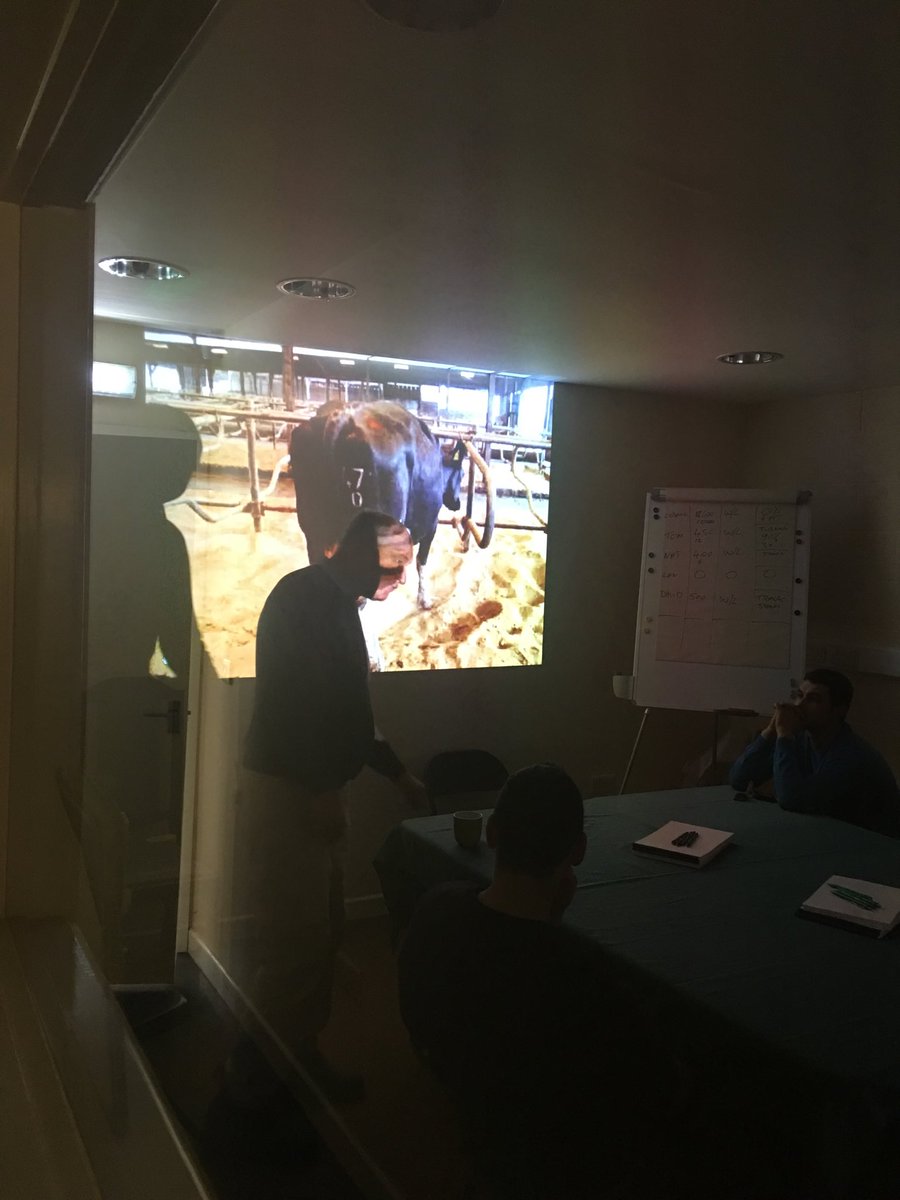 cowsfeet's tweet photo. It’s pouring outside, lucky we’re inside and cosy at our latest @cowsfeet lameness workshop #nomorelamecows #teamdairy #cowsfeet #stevepaul https://t.co/9zaBVeVYrk