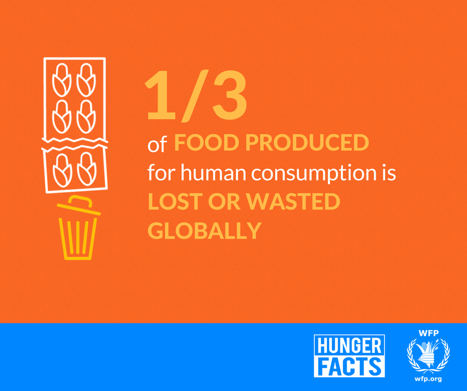 WFP's tweet photo. #DidYouKnow 1/3 of all food produced for human consumption is lost or wasted globally? Make today a no #foodwaste day! https://t.co/8PdimzkZYX