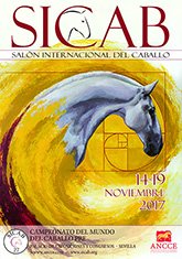 AdrianoSeville's tweet photo. In less than a month, come and enjoy #SICAB2017! An event
unique for horse lovers https://t.co/w0l1ybD5fW https://t.co/H9eGSYdYkJ
