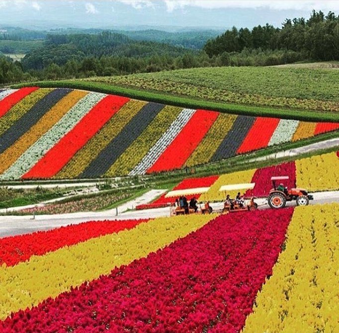 PolarBlackLtd's tweet photo. A flower garden of pure magic and delights #PBLoves https://t.co/vp2ur1QeFB