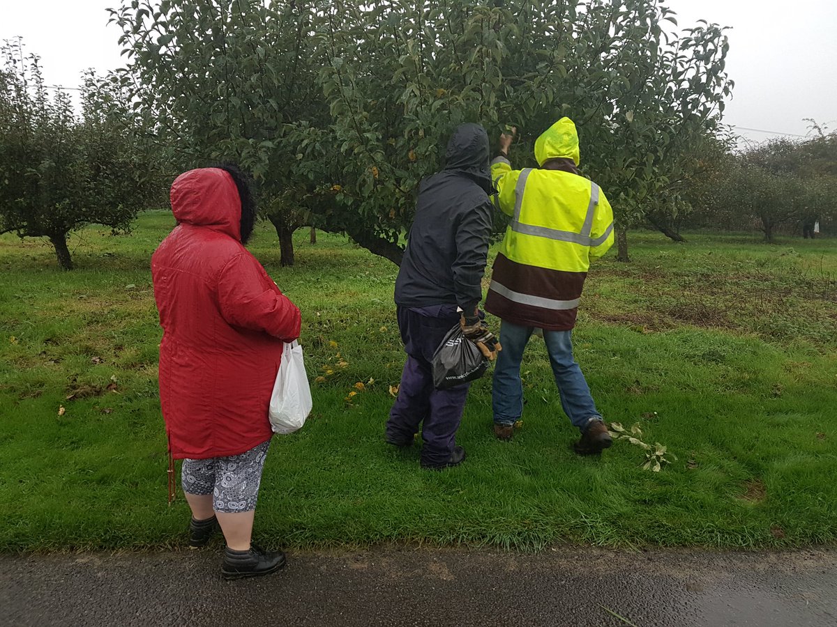 spacesforplaces's tweet photo. Apple picking on a wet Apple Day @Hftonline #grow&amp;sow #Rowde https://t.co/NCSxBoSDxF