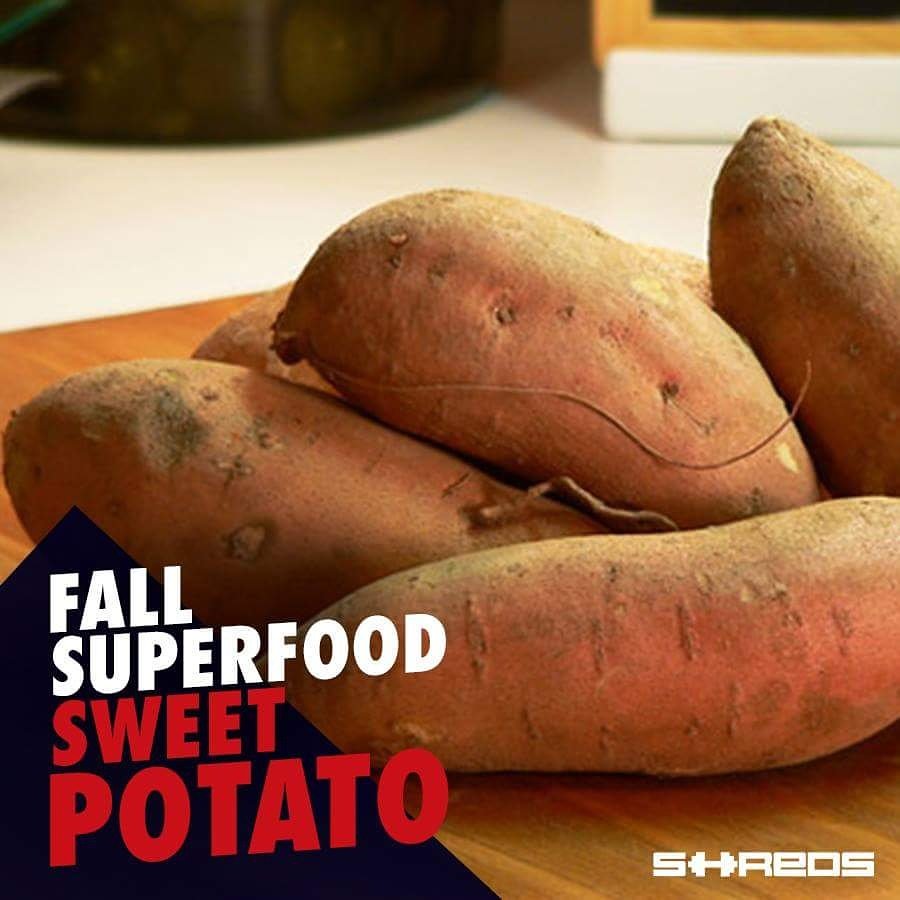 ShredsPK's tweet photo. Sweet potato anyone? Commonly known as shakar Qandi in Pakistan, winter delicacy for weightloss. #fitness #gym #fallfood https://t.co/zr4BfK1uX5