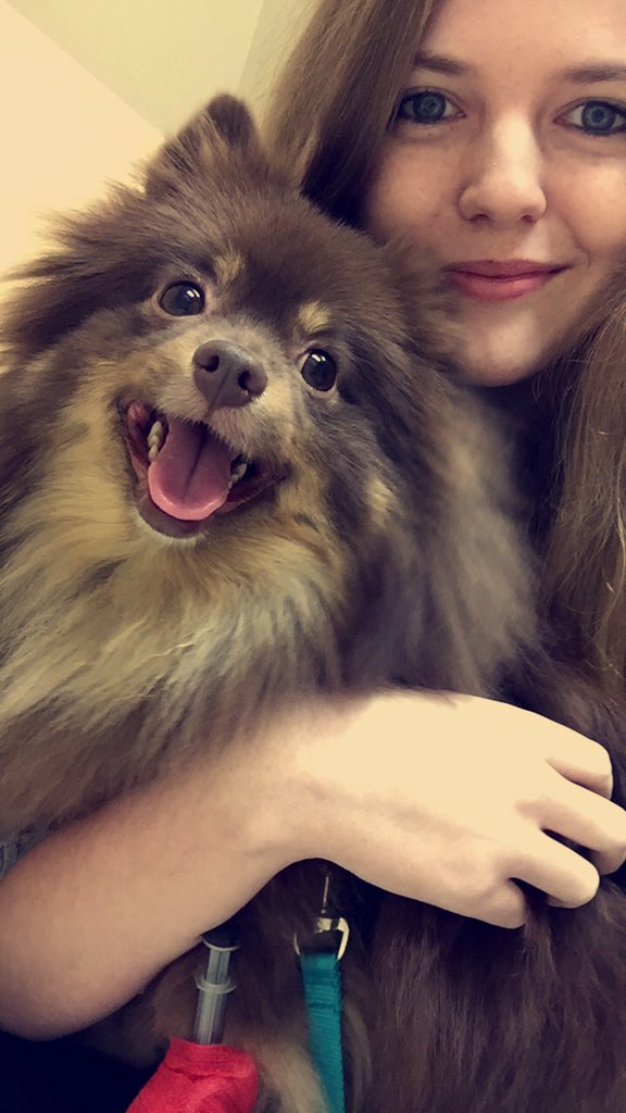 megun0's tweet photo. Puppers may be in the hospital still but she's happy as can be with all the attention 🐶 https://t.co/iaxENhweUh