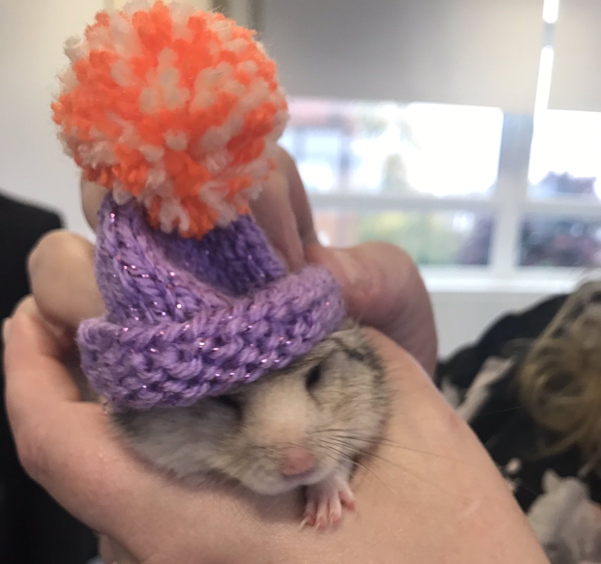 SirJaymoGriffin's tweet photo. As the weather is getting colder, I'm just getting more stylish! #winterwear #dontbejealous ❄️🌧 https://t.co/Ir1T8D9o1p