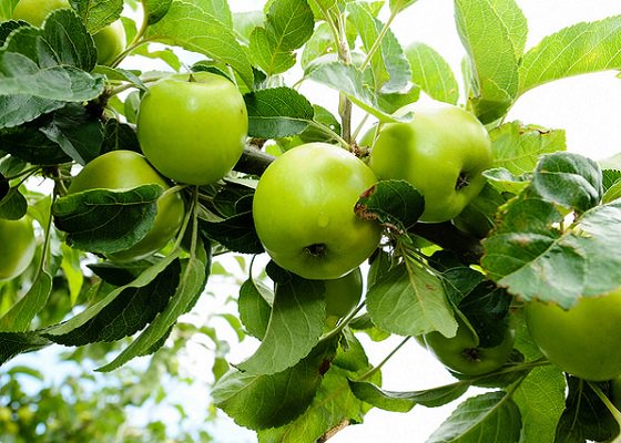 Visit Newark tweet media