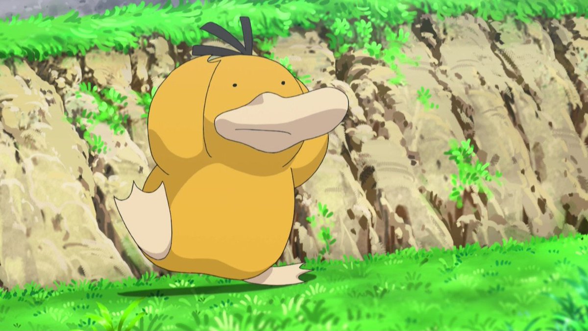 まかとら コダックかわいい Anipoke Pokemon
