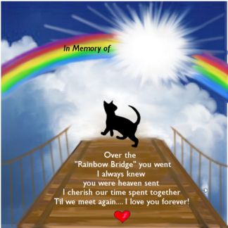 RubyRed_25's tweet image. 💔💔💔 Today I lost another best friend 😢😢 my Riley Piley