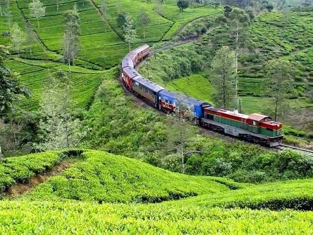 classytours's tweet image. experience  the world&apos;s most scenic Sri Lankan train rides. srilankaclassytours.com
 #wanderlust #travel #holiday #vacation #loneleyplanet