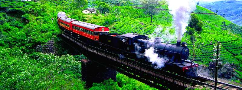 classytours's tweet image. experience  the world&apos;s most scenic Sri Lankan train rides. srilankaclassytours.com
 #wanderlust #travel #holiday #vacation #loneleyplanet