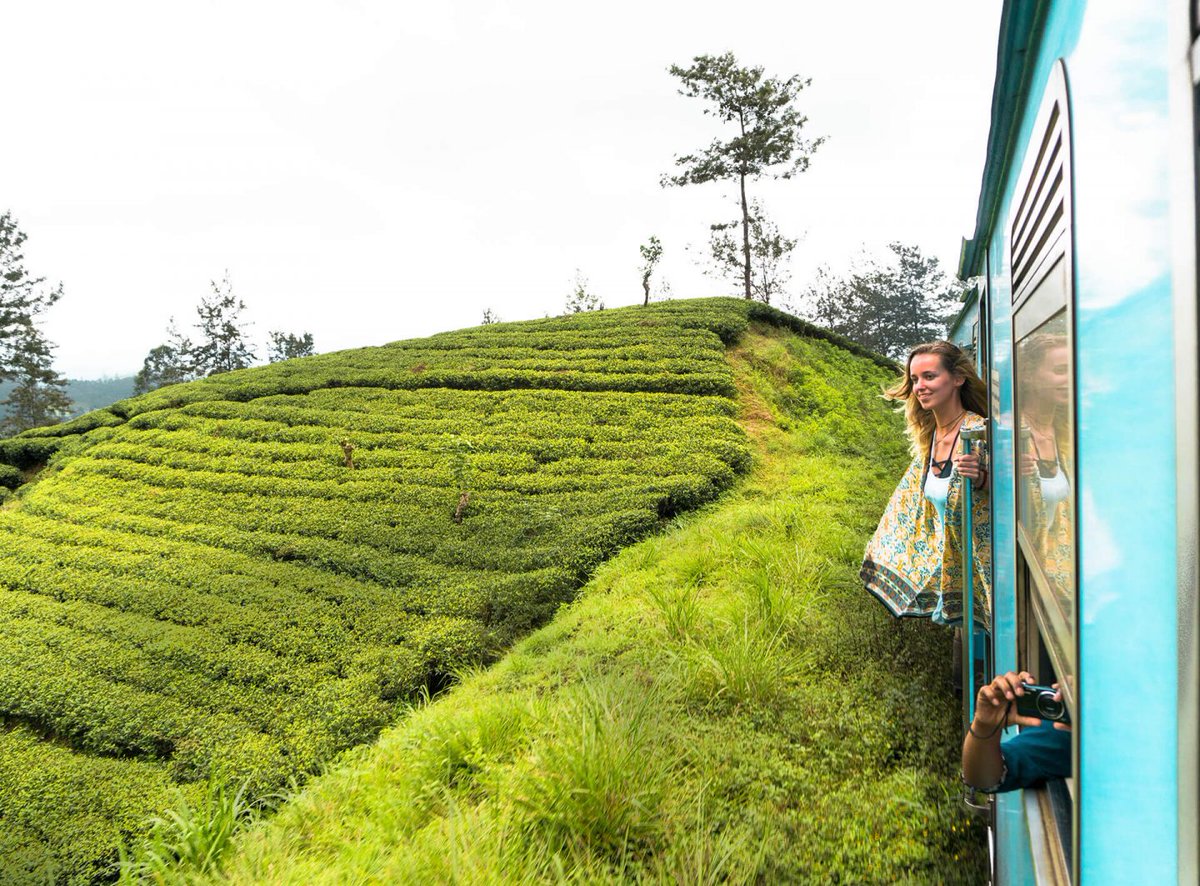 classytours's tweet image. experience  the world&apos;s most scenic Sri Lankan train rides. srilankaclassytours.com
 #wanderlust #travel #holiday #vacation #loneleyplanet
