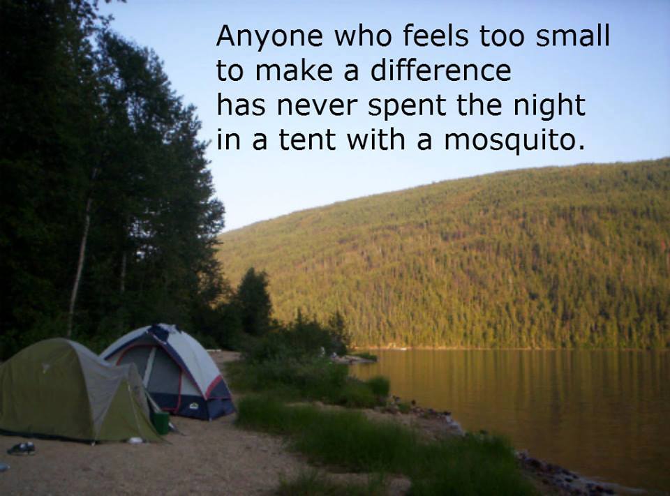 raehanbobby's tweet photo. "Anyone who feels too small to make a difference has never spent the night in a tent with a mosquito."

#leadership #quotes https://t.co/RwAzwfr4vo