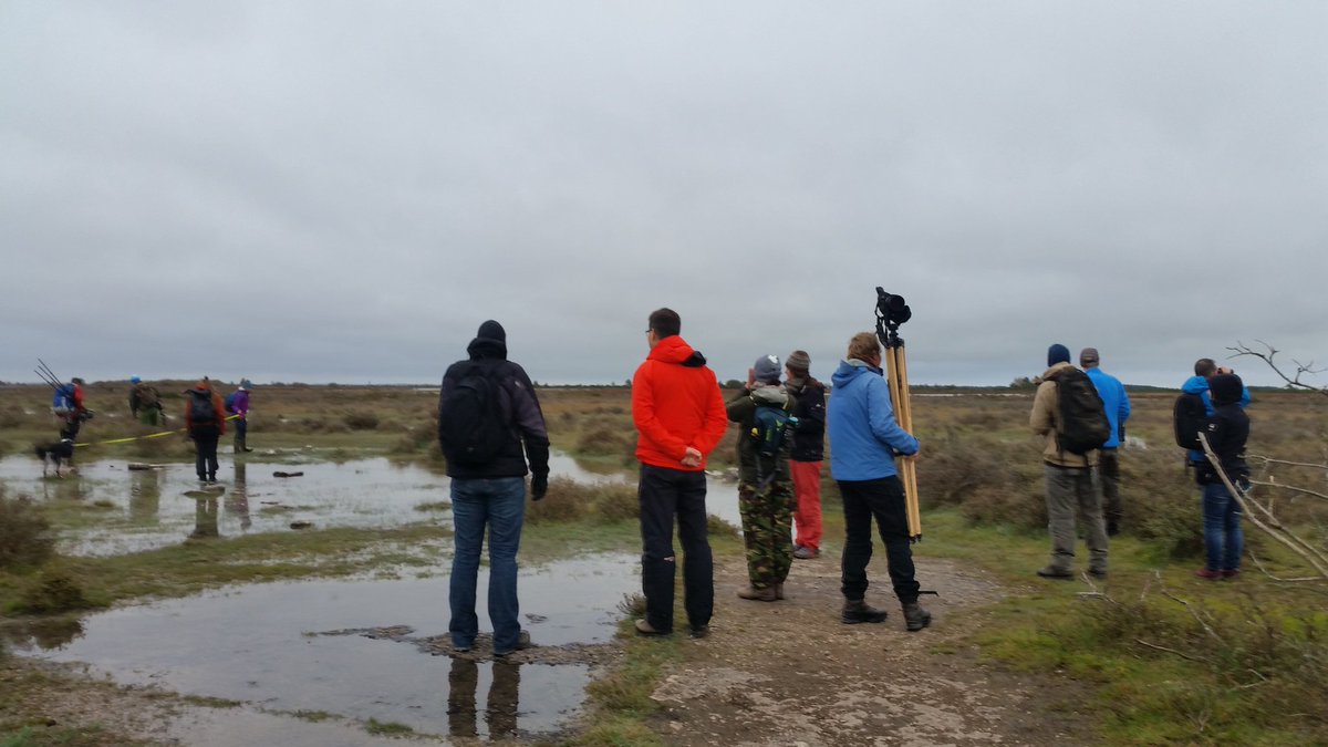 Spatial Food Webs tweet media