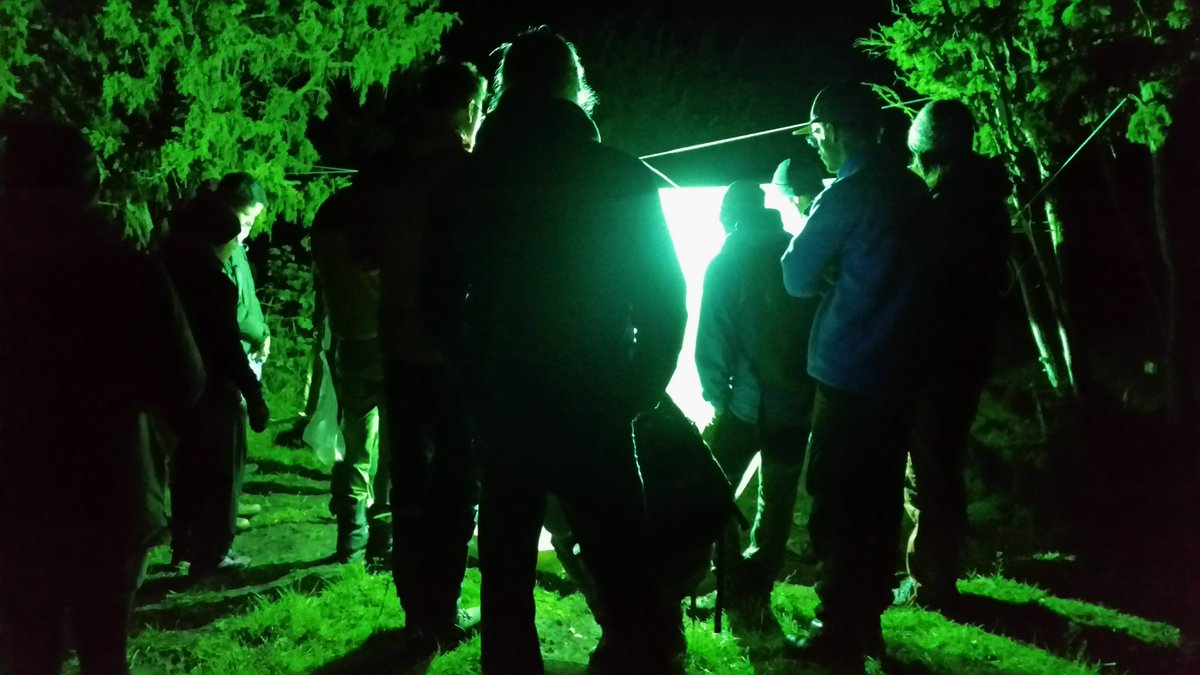 Spatial Food Webs tweet media