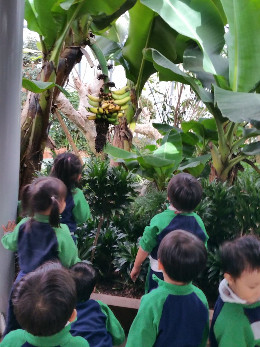 #성남시국공립고등동복지관어린이집 
만2세반 친구들과 동천자연식물원으로 가을 소풍을 다녀 왔어요...  목걸이 만들기, 찰흙놀이, 고구마캐기, 물피리 불어보기, 식물과 동물들도 관람하고...에어바운스에서 신나게 뛰어놀고,  황토 구슬 놀이도 했어요