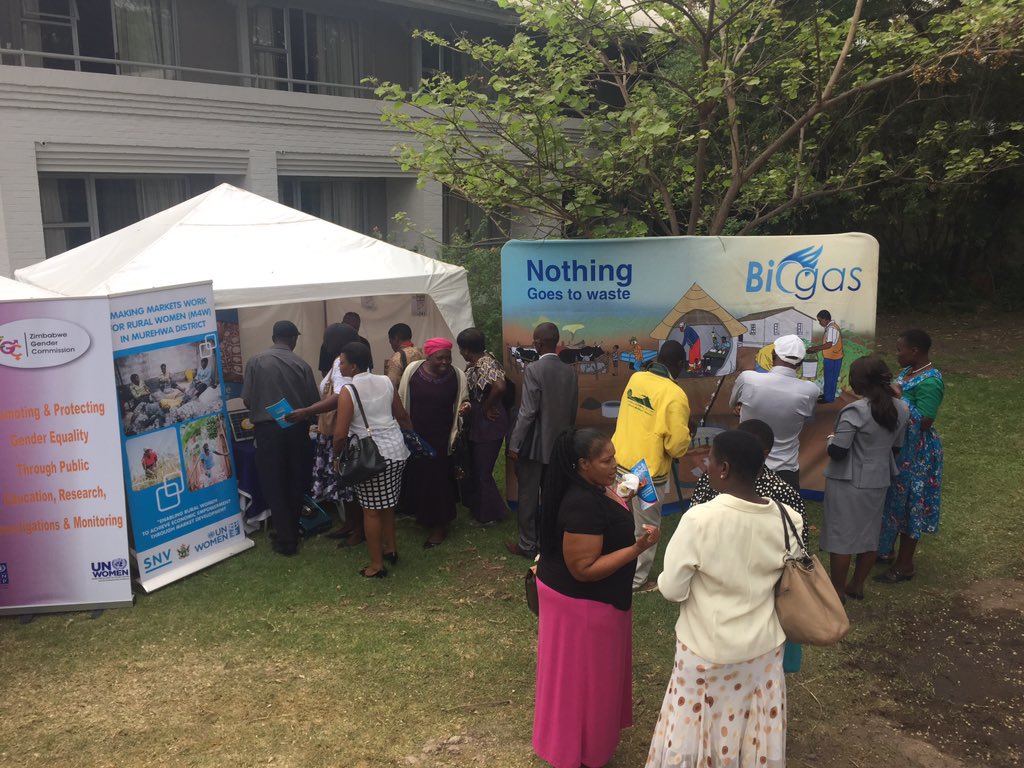 SNVZimbabwe's tweet photo. The SNV Zimbabwe stand at the Inaugural National Gender forum. Wome have a big role to play in all decision making processes. https://t.co/03twiZImQP