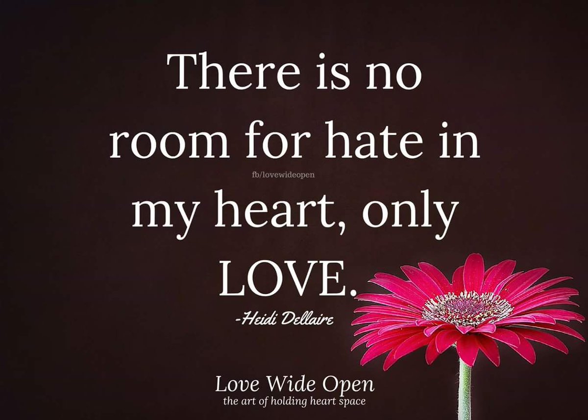 Love Wide Open on Twitter "There is no room for hate in my heart only love Heidi Dellaire hearts love acceptance quotes quotestoliveby Find us on