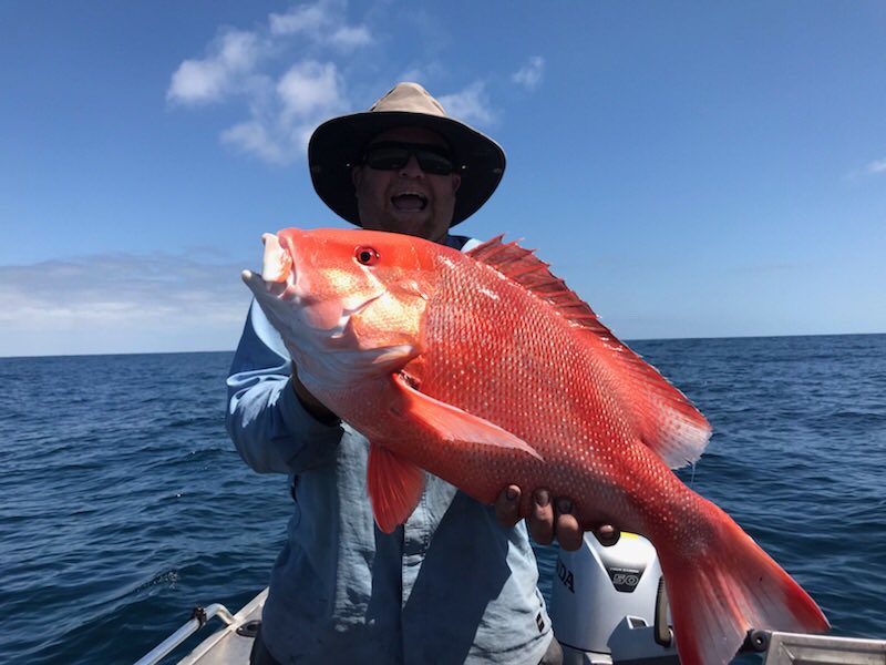 thommo19974's tweet photo. Larger than life!!! 🐳🐟on 🦑#coralbay https://t.co/V8qZlLddfv