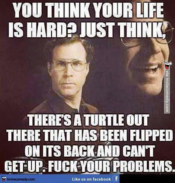mayaschzwan's tweet photo. #ThursdayThoughts & always let #willFERRELL be your guide! @OmySNAKESalive @thebenj_sc @musictattooes #fuckYOURproblems https://t.co/TUAgDyTLc6