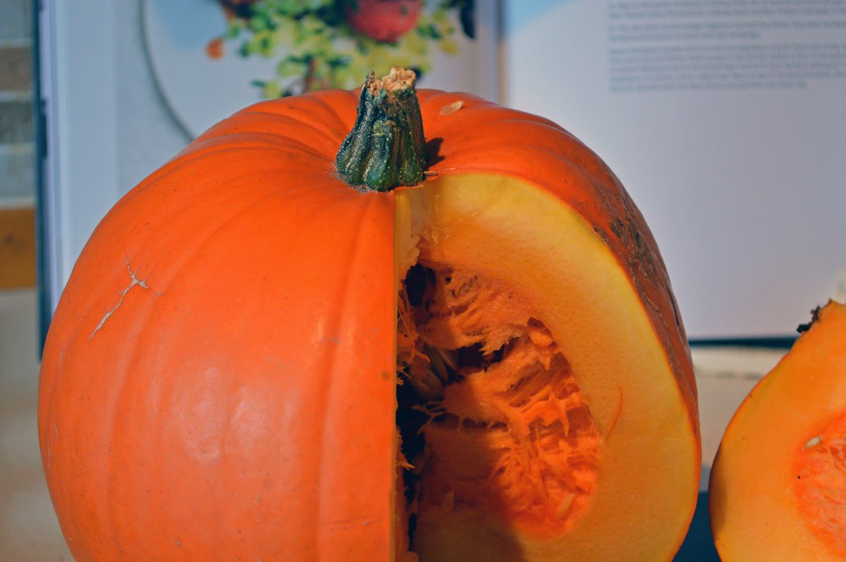 Gingeybites's tweet photo. Something #autumnal from the archives: #Pumpkin &amp; chicken stirfry with chilli &amp; basil! https://t.co/owEmoFVAYH 🎃 #NotPSL https://t.co/hoonjuNEB2