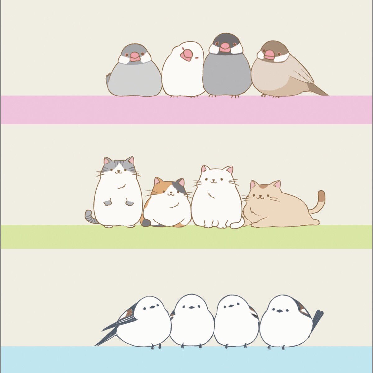 最も検索された 文鳥 イラスト かわいい