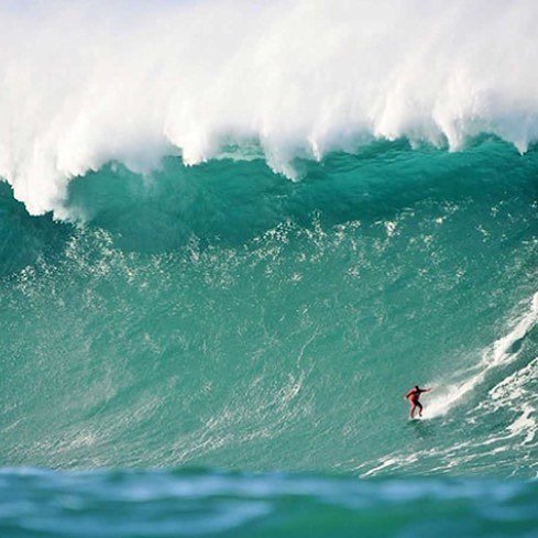strongfitness3's tweet photo. That's incredible 🏄🏄🏄 Follow @strongfitness3 for more
Tag #strongfitness #fear #conquer #surfing #surfsup #surfp… https://t.co/ngX05dY3WD https://t.co/o6DTWu3mCK