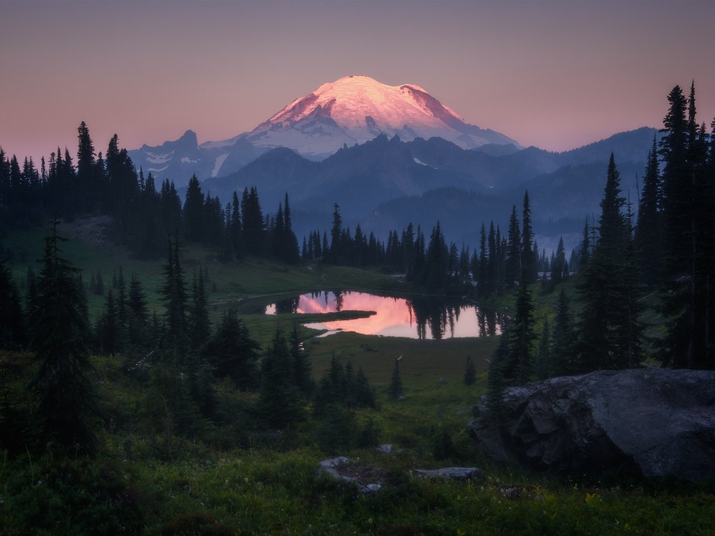 Nature is Beautiful tweet media