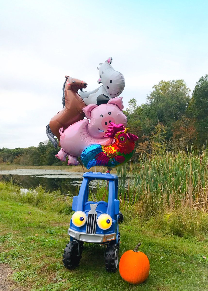 hct_fun's tweet photo. #LittleBlueTruck #halloween #costume #littlebluetruckparty #littlebluetruckbook #toddlercostume #ToddlerLife #boymom https://t.co/kGS31AO2Sp https://t.co/6Upe4tjIr0