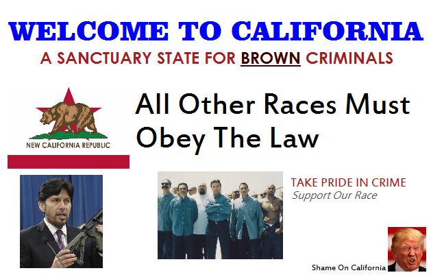 SanctuaryCrime's tweet photo. Hey! @GOPLeader we will never accept #Amnesty for DACA. #California is the result of weak #Immigration enforcement.. #NoDreamAct https://t.co/1PsLW5hoMw