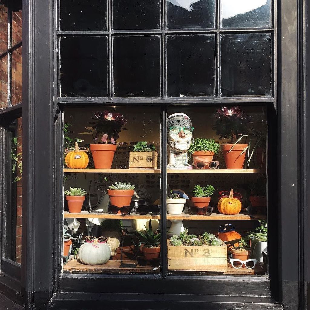 Plants in pots, pumpkins in season and cleverly contrasting colours definitely made this opticians window display … ift.tt/2yy4qVC