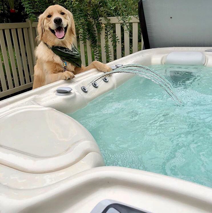 IPGPools's tweet photo. When your dog is excited that it's #HotTub season! π
#Hottubseason #IPGPools #Canadapoolsandspas #Canada https://t.co/Yo8MOi5lUB