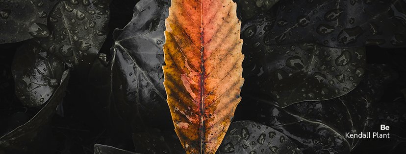 Lightroom's tweet photo. We understand the latest Lr news has caused confusion. This post is meant to answer your most pressing questions: https://t.co/6ac6sJEoaK https://t.co/4buF4KzROg