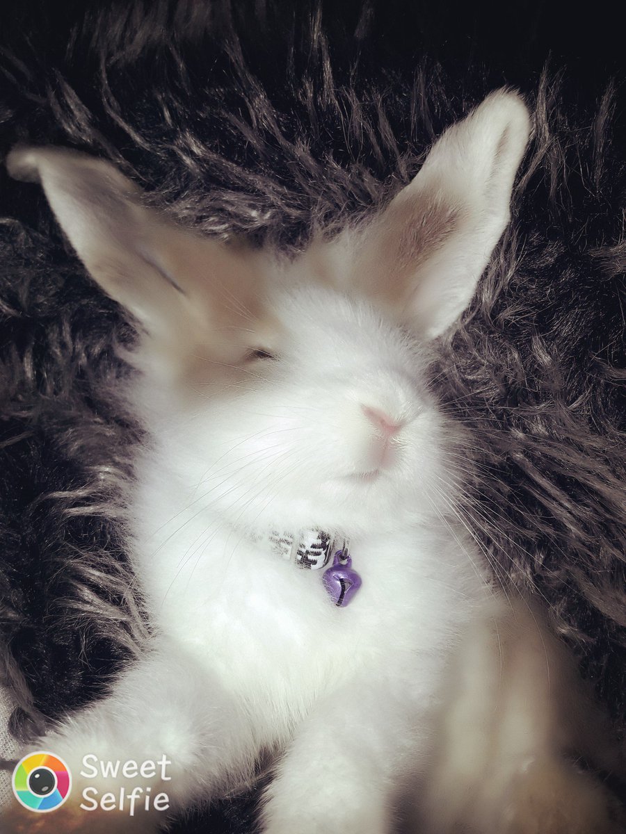 didem gumus (@didemgumus3) on Twitter photo 