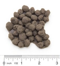 pooptrailrun's tweet photo. Top age groupers of the 13.1 get a unique award from Karl's Plaques using wildlife scat models!  #trailrunning #myoklahoma #scat #natureok https://t.co/zdJRFpScnv