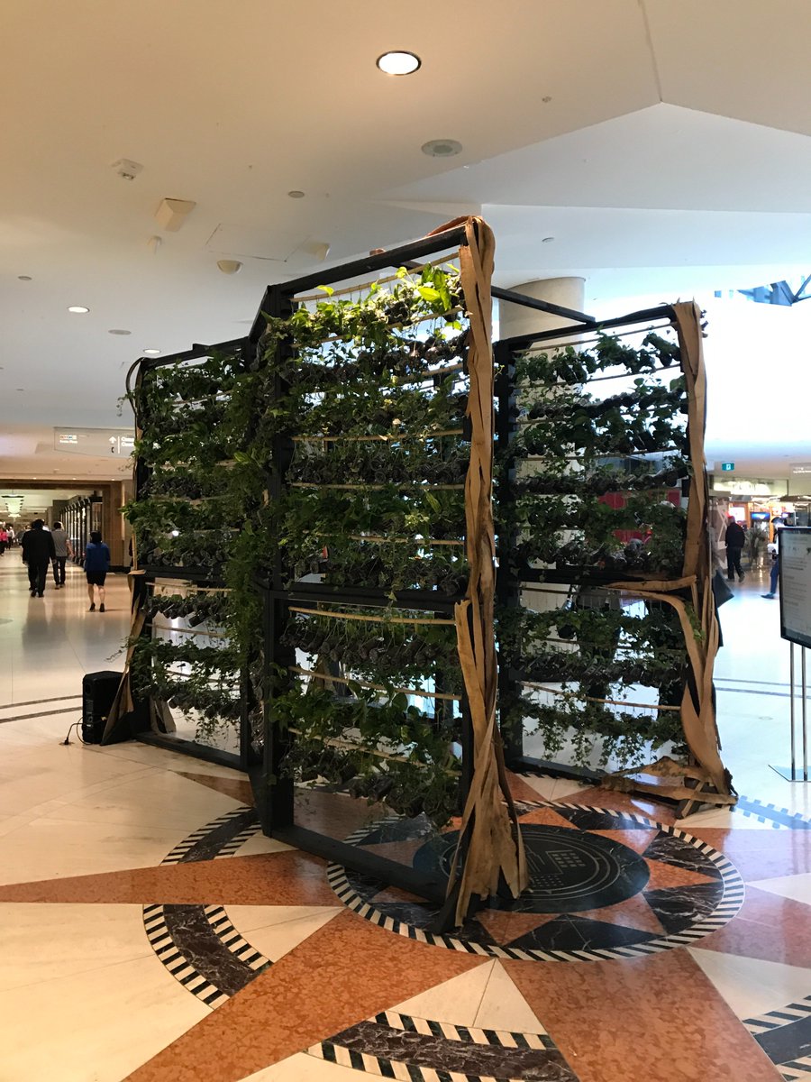 Meirav Even-Har tweet media