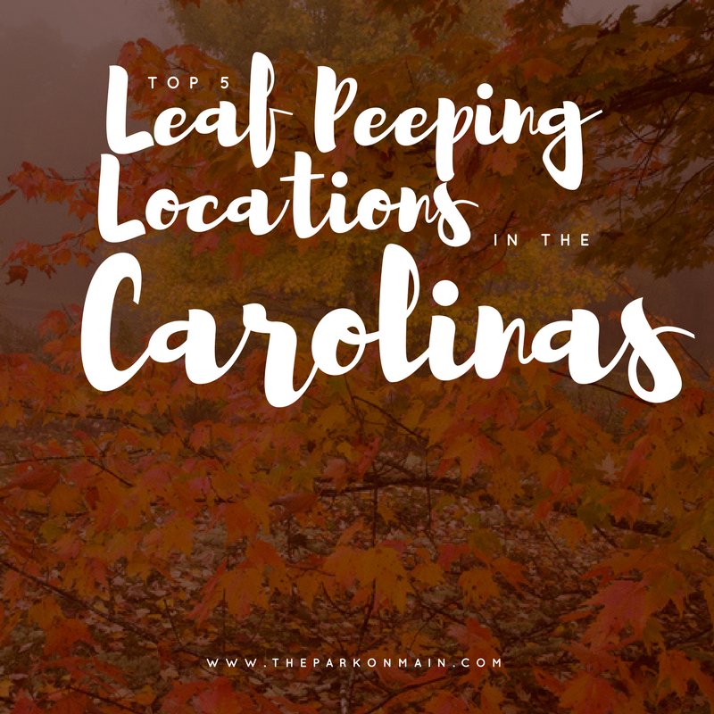theparkonmain's tweet photo. Check out  #HighlandsNC School of Wine and savor fall in the mountains!  #VisitNC https://t.co/z6h01wWoTJ https://t.co/wguOQTIx7f