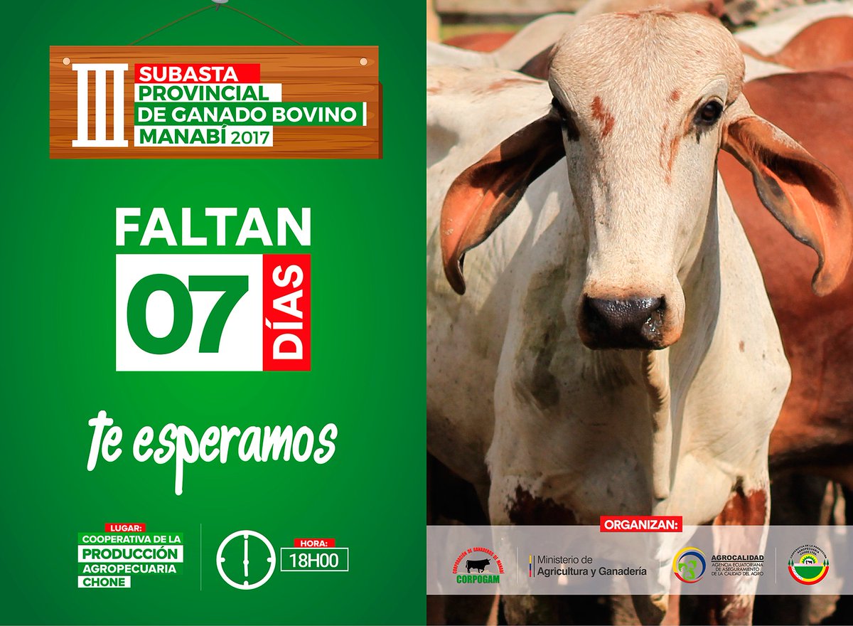 A 7 días de la #SubastaGanadera #Manabí2017 <a href="/AgriculturaEc/">Agricultura, Ganadería y Pesca Ecuador 🇪🇨</a> @MAGManabi @GADManabi <a href="/MinInteriorEc/">Ministerio del Interior Ecuador 🇪🇨</a> @ricardozampais @GadChone <a href="/GoberManabi/">Gᴏʙᴇʀɴᴀᴄɪᴏ́ɴ ᴅᴇ Mᴀɴᴀʙɪ́</a>