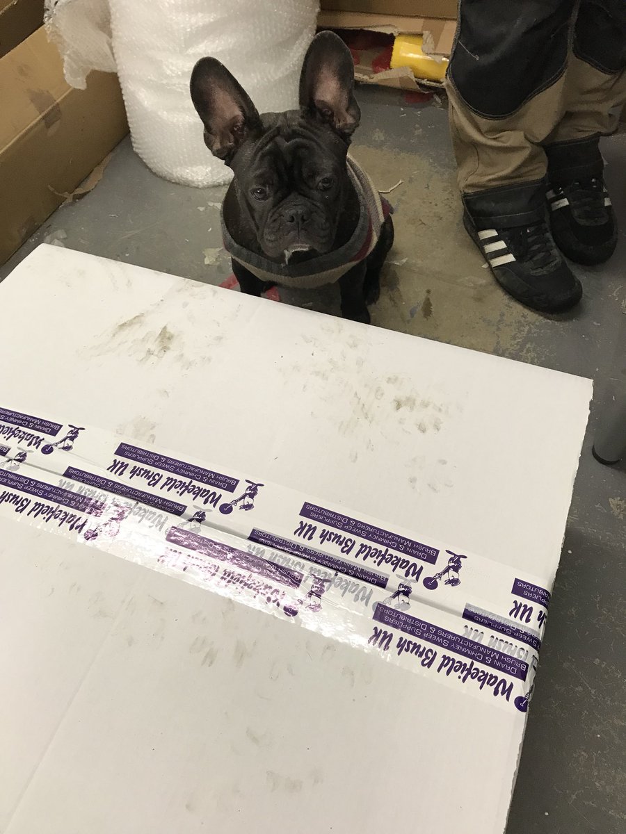 WakefieldBrush's tweet photo. Some brushes going out with extra quality control today 🐾 https://t.co/QIAx1g2nqC